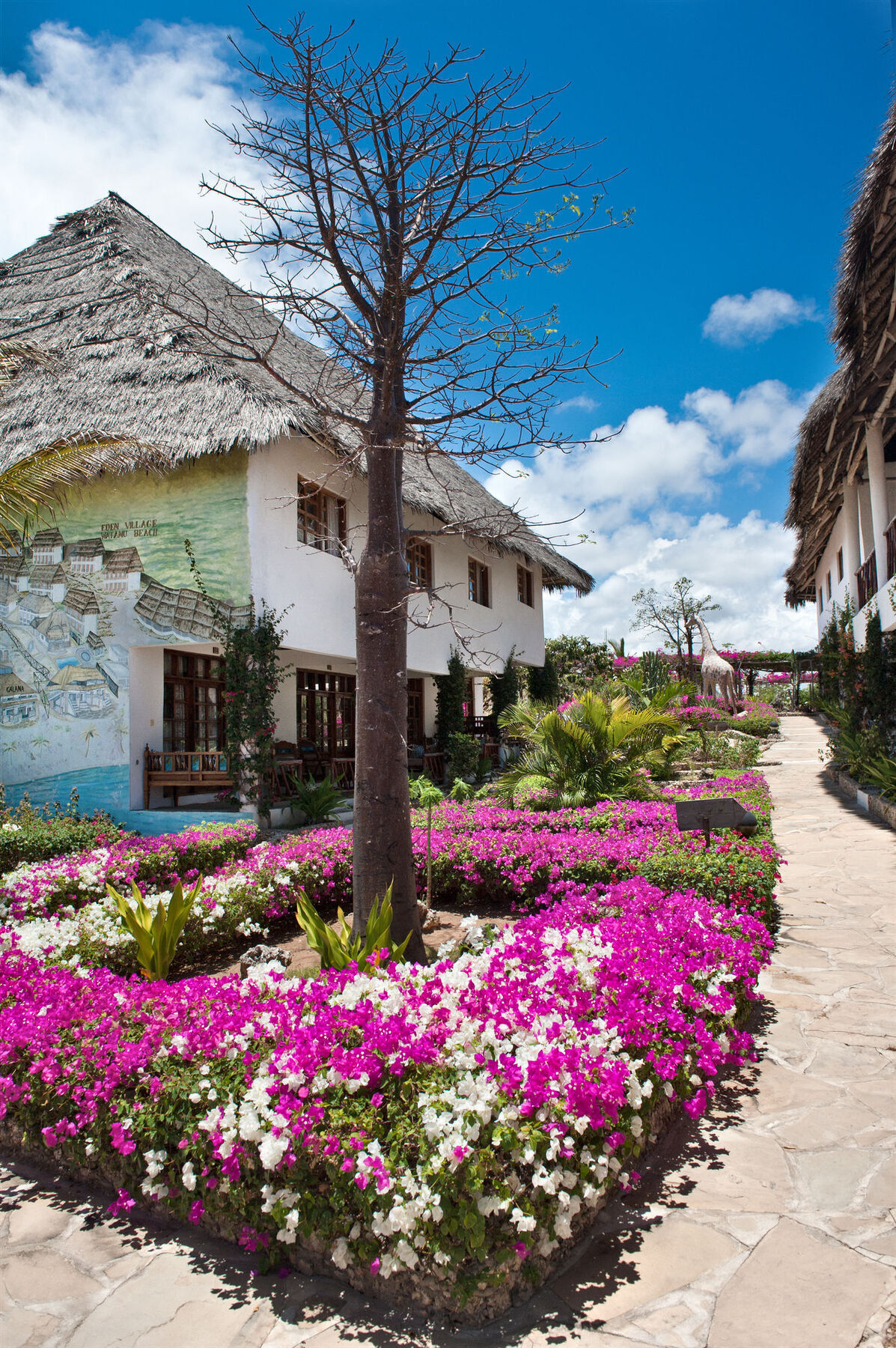 Jacaranda Beach Resort Ватаму Екстер'єр фото